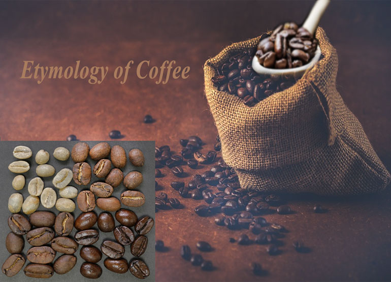 Etymology of Coffee