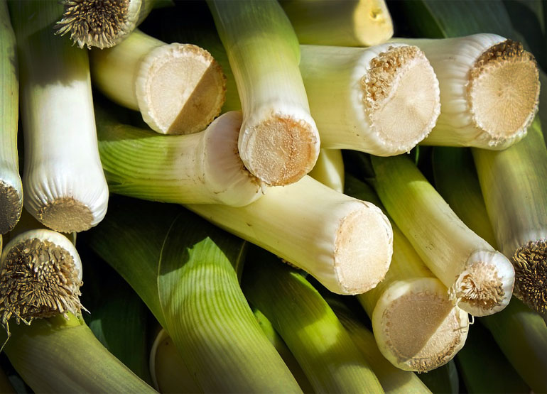 Leek