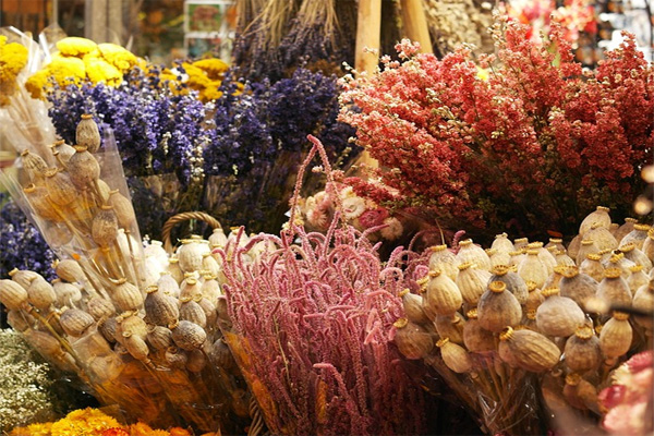 dried flowers