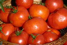 Tomatoes