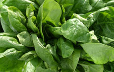 spinach