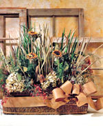 Country Window Basket
