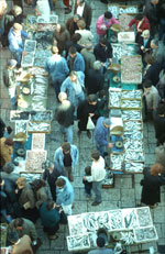 FRESH FISH MARKET SPLIT