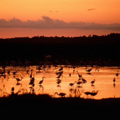 Kakadu National Park Australia