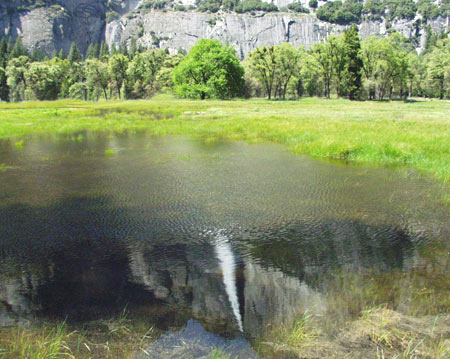 Upper Yosemite Fall Reflection