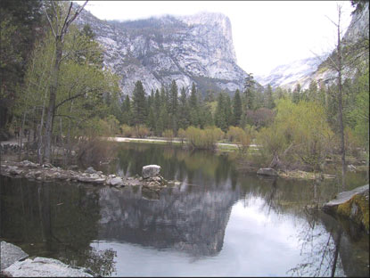 Yosemite National Park