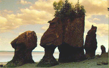 Bay of Fundy Hopewell Rocks