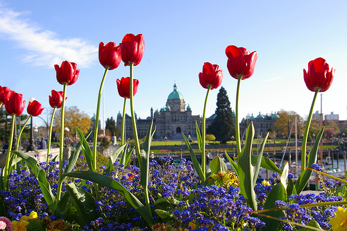 Victoria B.C.